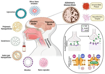 Various nanocarriers used to treat AD with their mechanism