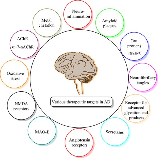 Various therapeutic targets in AD
