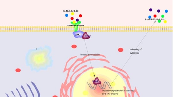 Therapeutic Targets Associated with Medical Research in the Treatment ...