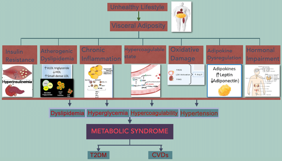 Visual diagram of metabolic syndrome with common complications